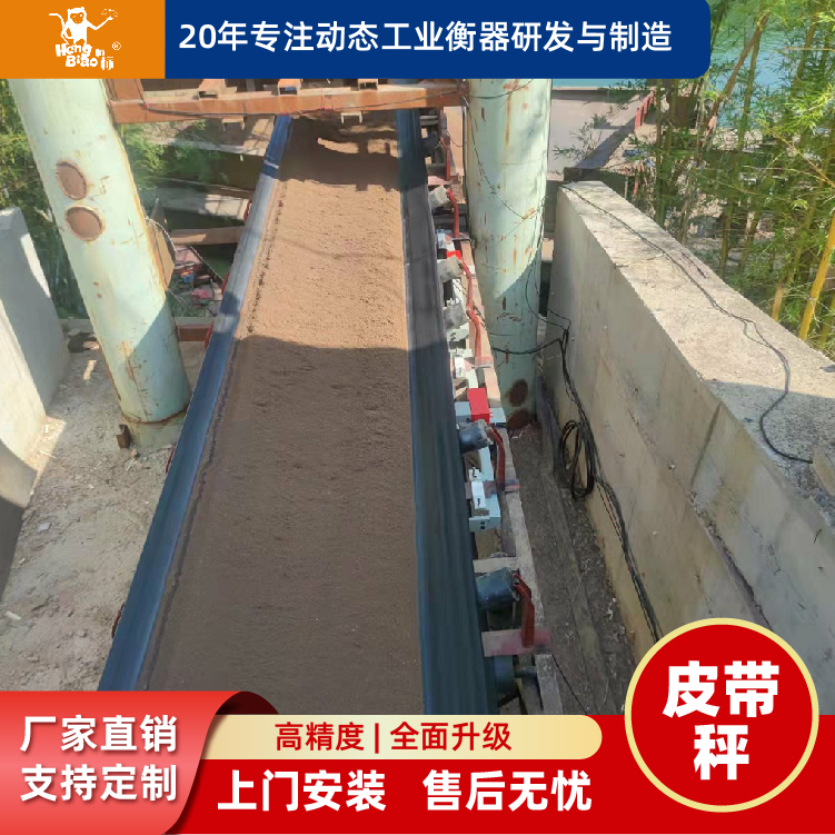恒標(biāo)科技皮帶秤全懸浮電子計量秤小流量高精度電子稱