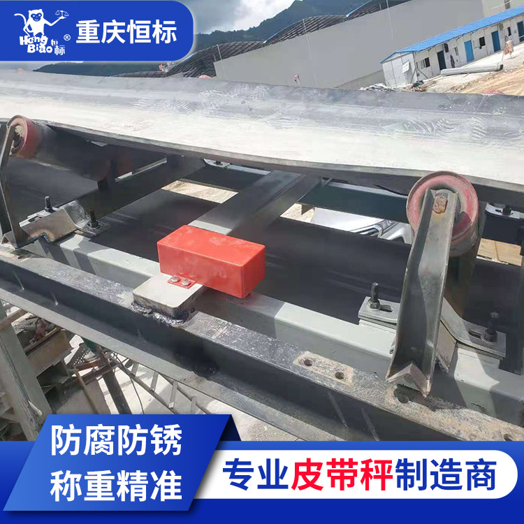 電子調(diào)速變頻高精度皮帶稱批發(fā)自動(dòng)裝車雙托輥經(jīng)久耐用耐腐蝕