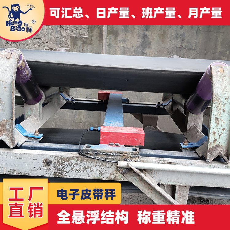 自動變速電子皮帶稱廠家批發(fā)拆裝簡便運行平穩(wěn)上門安裝調試