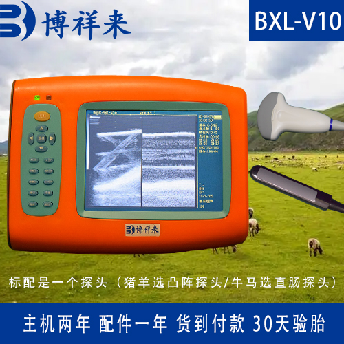 河南豬牛羊獸用B超儀雙探頭B超機(jī)價(jià)格博祥來(lái)牛用b超機(jī)