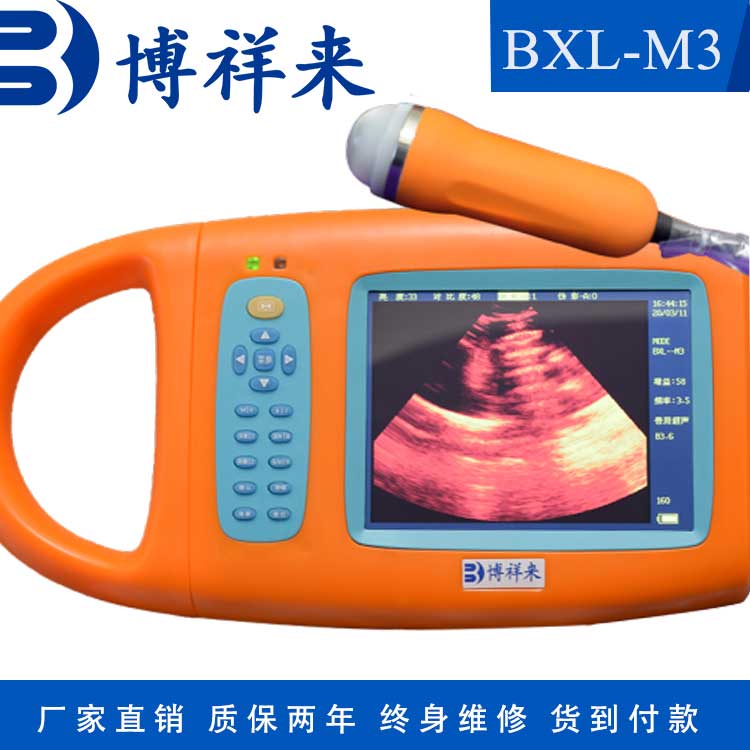 小型羊用b超便攜式獸用B超機博祥來母豬b超機