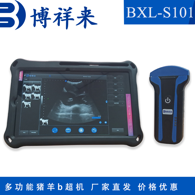 掌上超聲機家用b超檢測儀豬羊b超機博祥來獸用妊娠診斷儀
