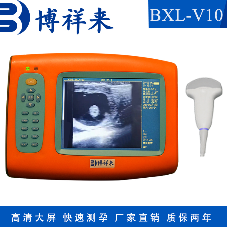 博祥來3.5MHz電子探頭豬用b超機母豬b超儀養(yǎng)豬場專用測孕儀