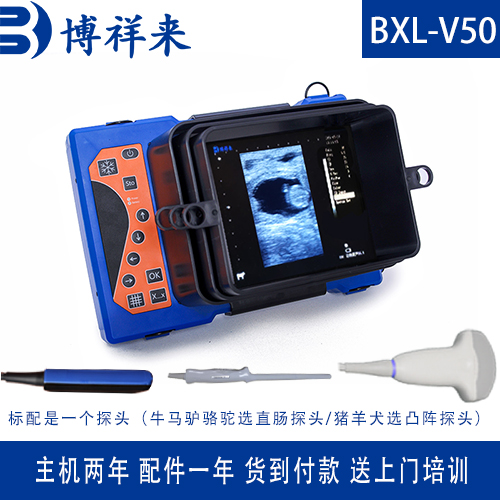 養(yǎng)殖場牛用b超博祥來b超儀牛羊畜用b超機整機防水