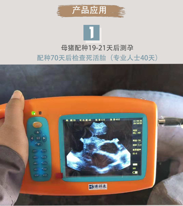 羊用b超機便攜式b超儀博祥來豬羊獸用B超綿羊妊娠檢查儀
