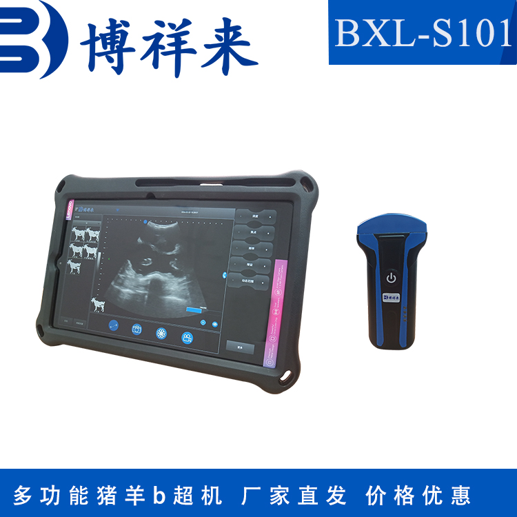 高清無線豬用b超機養(yǎng)殖專用測孕儀博祥來b超儀