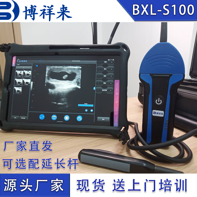 家用b超檢測(cè)儀牲畜b超母牛懷孕檢測(cè)儀博祥來(lái)廠家直發(fā)
