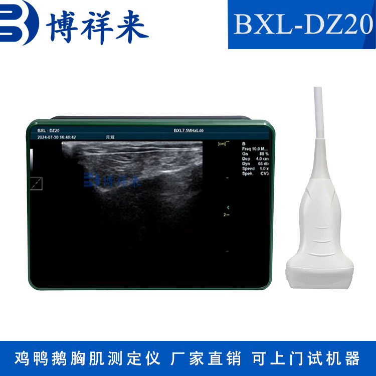 魚(yú)用b超機(jī)多少錢一臺(tái)彩色多普勒彩超博祥來(lái)海洋動(dòng)物專用廠家