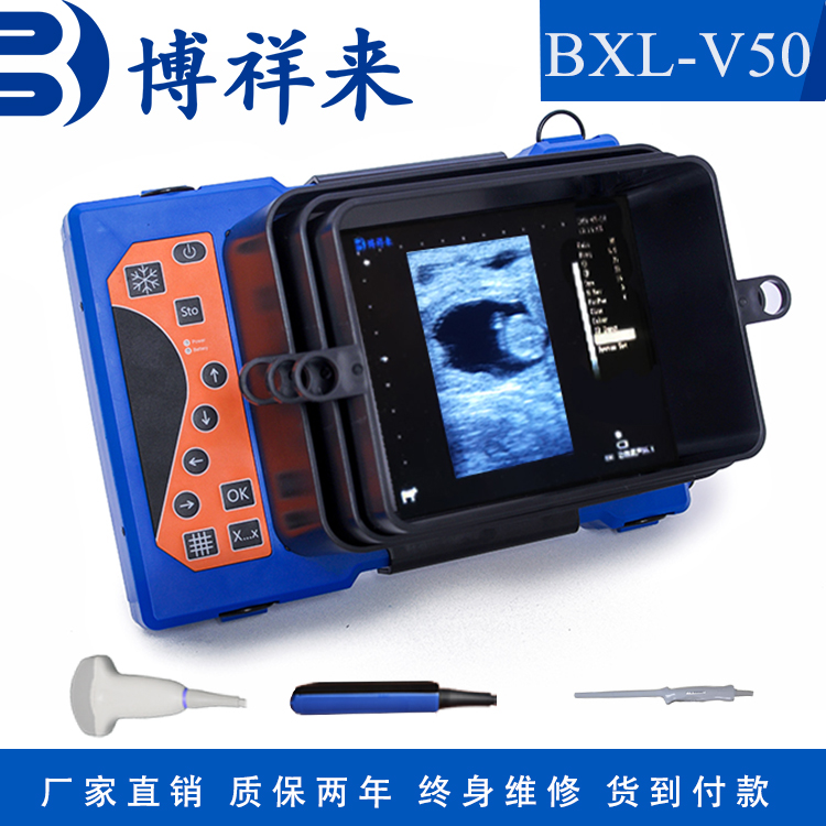 牛用b超豬牛羊馬B超機(jī)博祥來便攜式b超機(jī)奶牛妊娠檢查儀