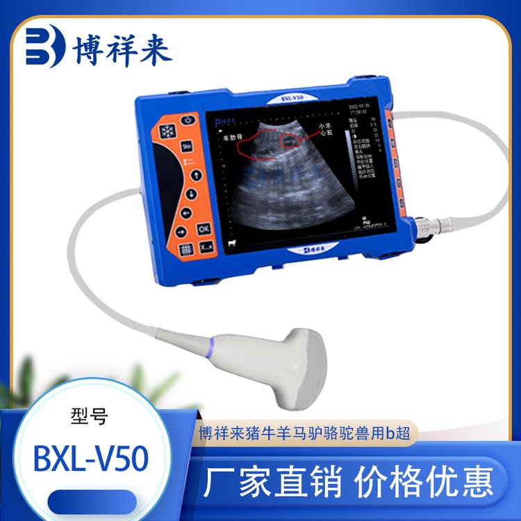 牛羊用b超機(jī)V50測(cè)試儀畜牧獸醫(yī)用設(shè)備博祥來(lái)獸用B超廠家