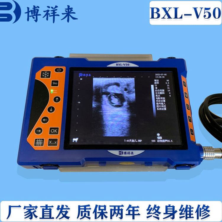 獸用懷孕b超機豬牛羊通用B超儀博祥來牛用妊娠診斷儀