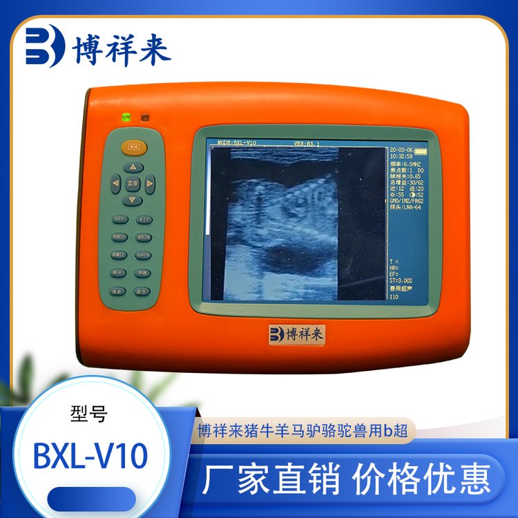 BXL-V10牛b超機牛羊用b超儀多功能母牛測孕儀博祥來畜用B超儀