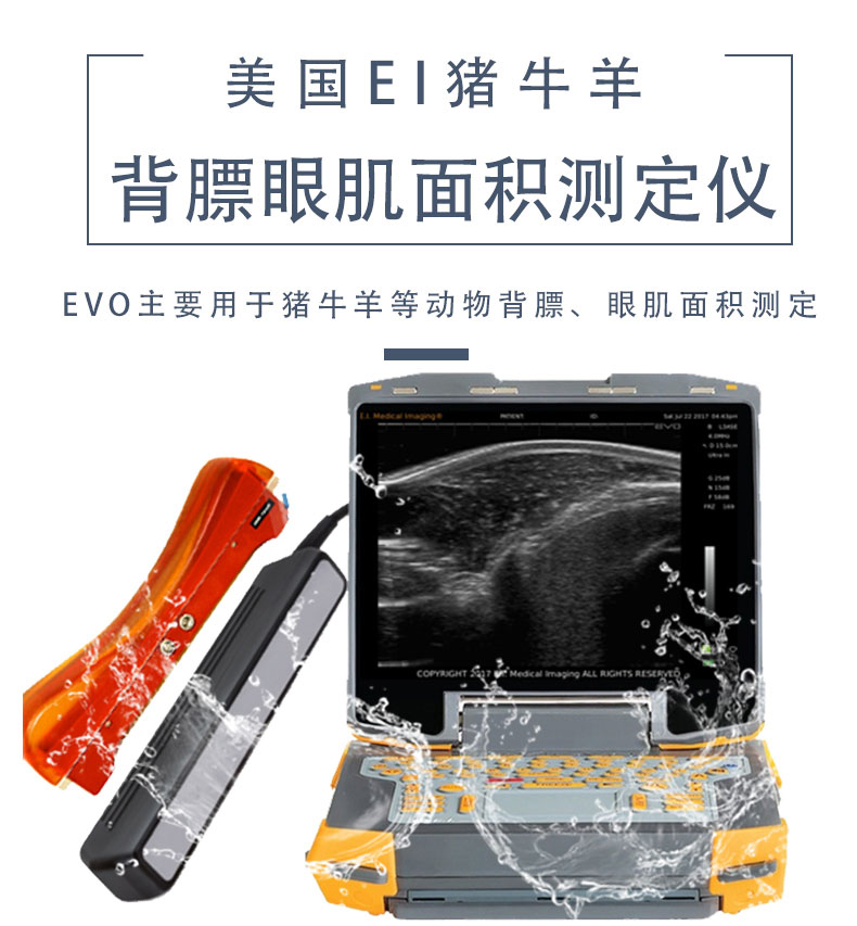 美國(guó)進(jìn)口EVO豬牛羊馬背膘眼肌面積測(cè)定儀博祥來b超