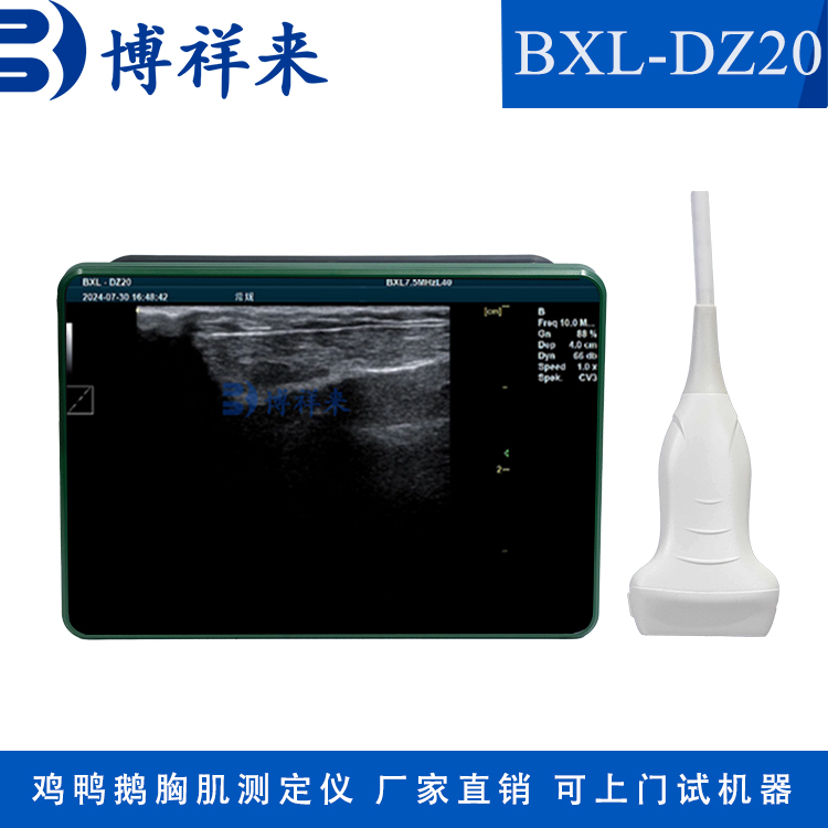 禽用b超機雞鴨鵝胸肌測定儀雞胸肉檢查儀器博祥來廠家直發(fā)