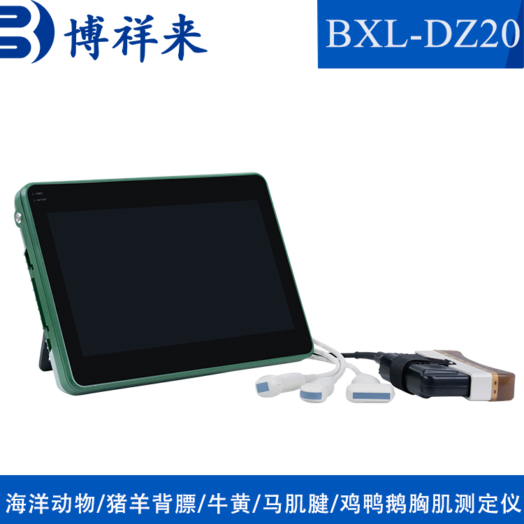 供應(yīng)牛黃b超國產(chǎn)牛膽結(jié)石測定儀博祥來廠家直發(fā)廠家現(xiàn)貨上門培訓(xùn)
