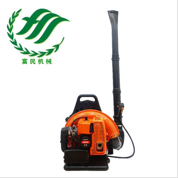背負(fù)式吹風(fēng)機(jī)路面樹葉清理機(jī)