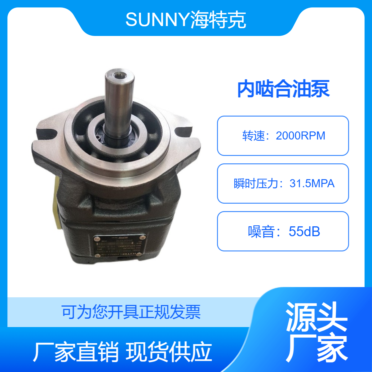 SUNNY注塑機海特克伺服壓力泵HYTEI油泵液壓泵HG1\2-40\63-80VPC