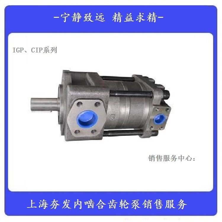 夯發(fā)泵IGP4-H025F系列適用于伺服變頻驅(qū)動的機能環(huán)保