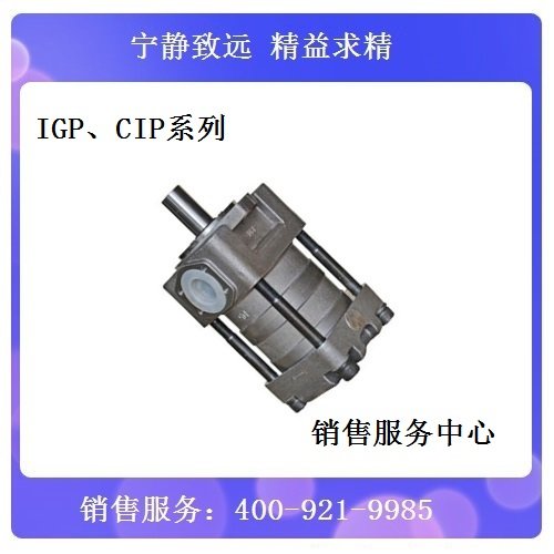 IGP5-H050F夯發(fā)齒輪泵供直線共軛內(nèi)嚙合液壓泵糅合技術(shù)效力高高