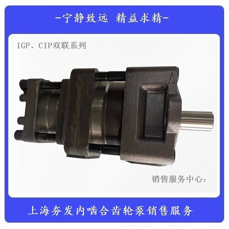 供應夯發(fā)雙聯(lián)液壓齒輪泵CIP(NBL5)-D125-63F庫存順發(fā)