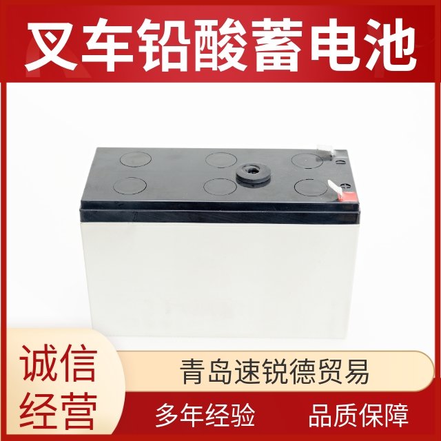 電動(dòng)叉車蓄電池拆卸方便大容量電瓶開(kāi)口式鉛酸蓄電池組