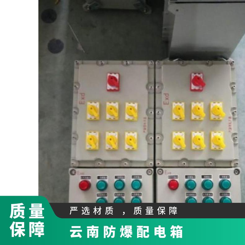 防爆配電箱防腐等級WF1外形尺寸800*1000200產(chǎn)品認證CCC