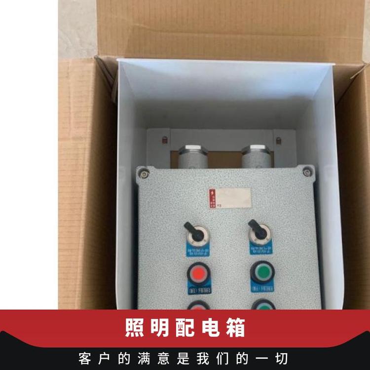 壁掛防爆標志ExIICT溫度組別T1~T6不銹鋼配電箱