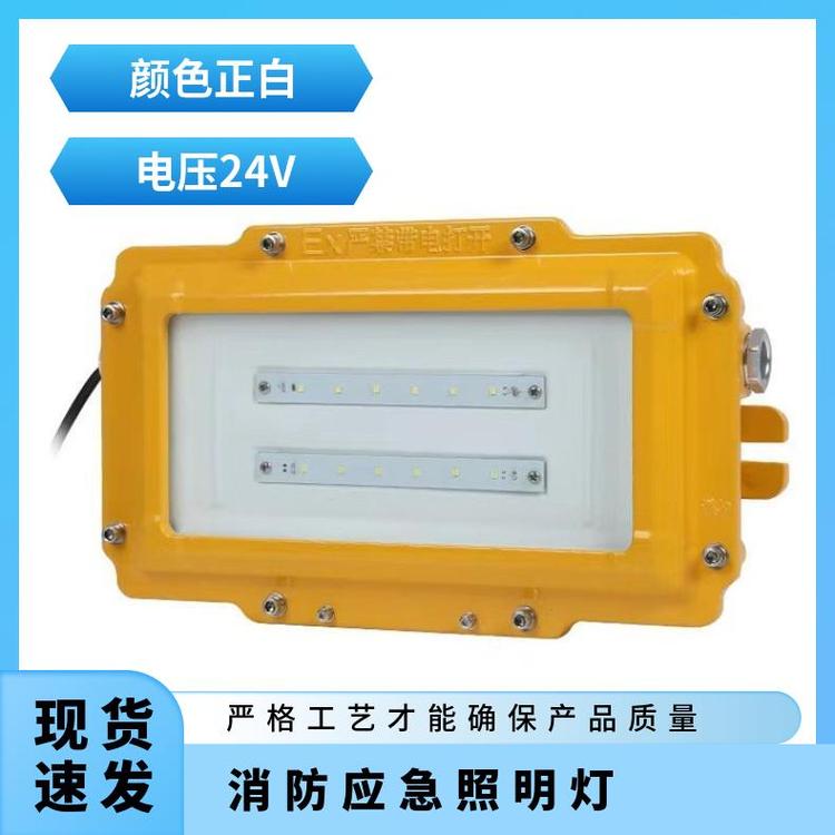 功率30WLED、氙氣規(guī)格齊全海洋王E68121消防應(yīng)急照明燈
