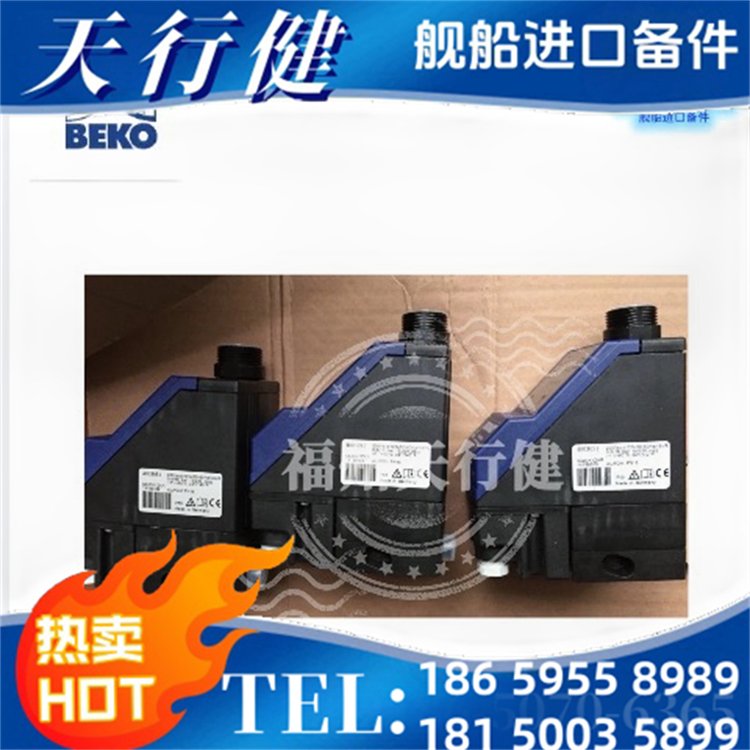 BM12COPN63-2000020德國BEKO貝克歐冷凝排水閥