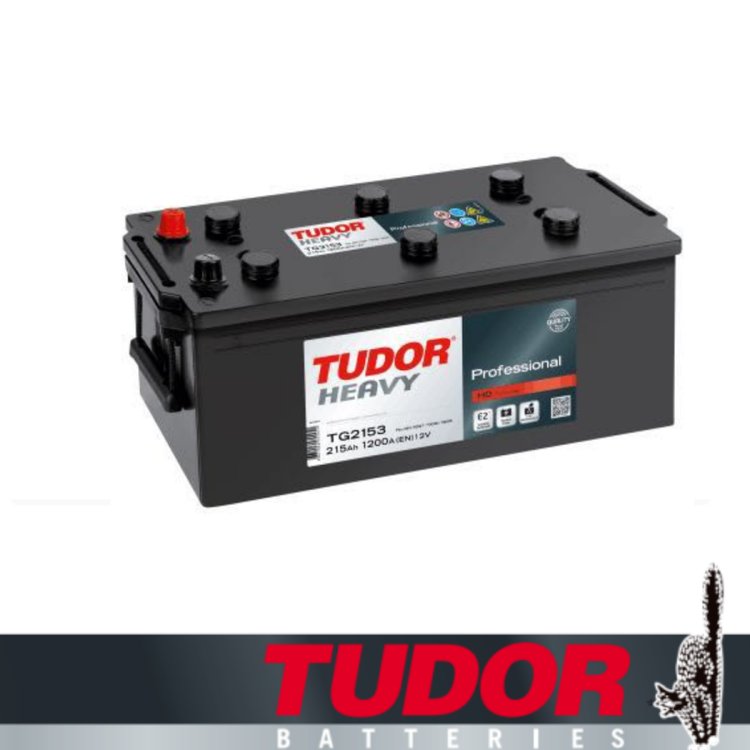 德國(guó)TUDOR蓄電池TG2153\/12V215AH\/1200A高倍率啟動(dòng)電瓶