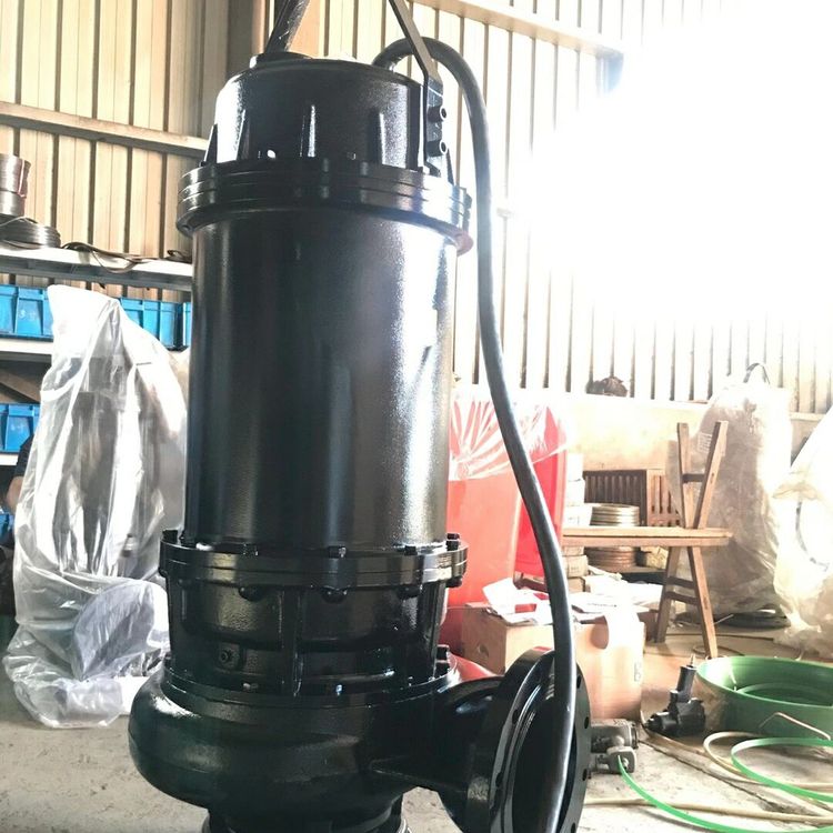 JPWQ不銹鋼無堵塞自攪勻潛污泵帶攪拌污水提升泵