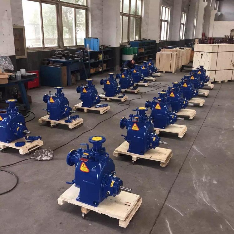 中球泵業(yè)SP型柴油機(jī)自吸排污泵移動(dòng)式排水泵機(jī)組無(wú)堵塞泵頭廠家
