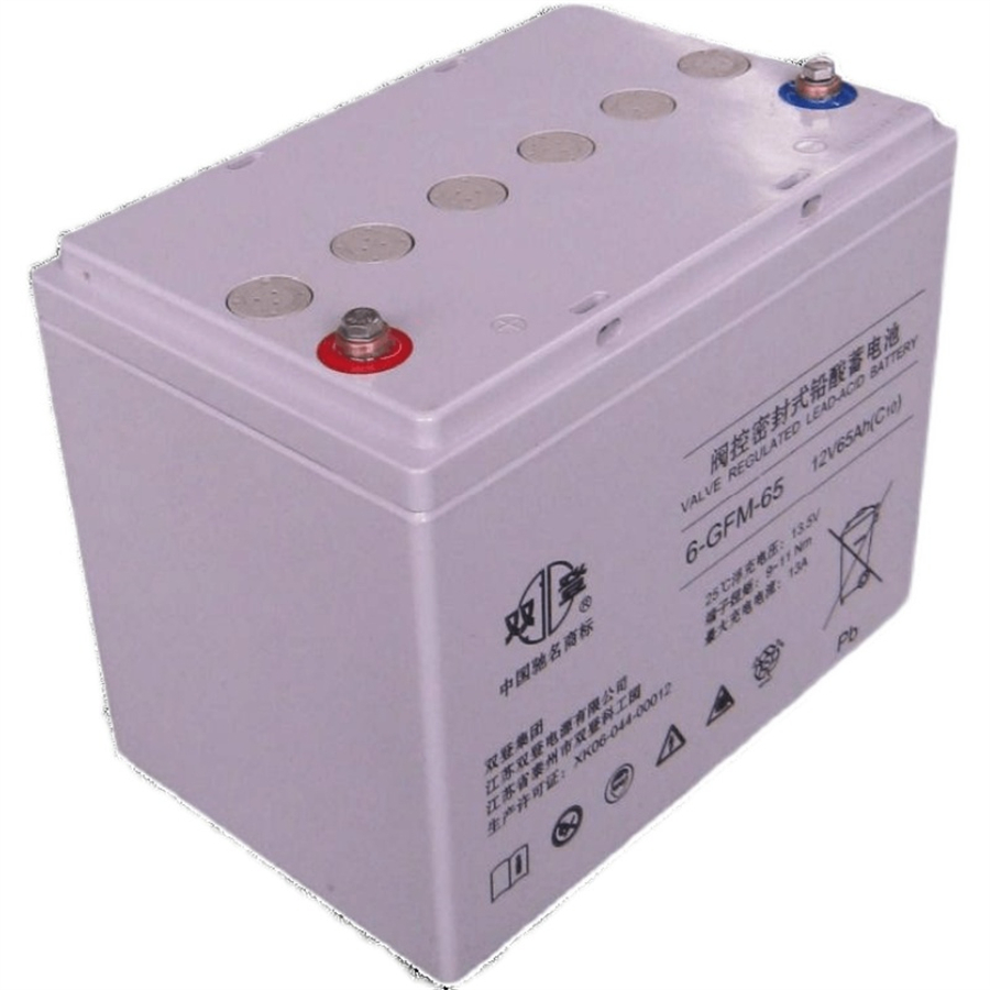 雙登蓄電池6-GFM-65閥控密封式鉛酸12V65AHUPS\/EPS電源配套