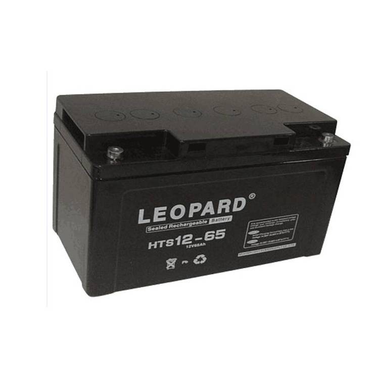 LEOPARD蓄電池HTS12-10012V100AH閥控密封式鉛酸蓄電池