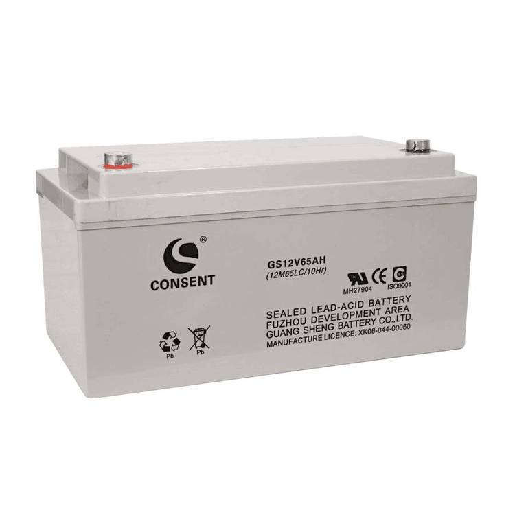 光盛蓄電池GS12V65AH12M65LC\/20HR閥控密封式鉛酸