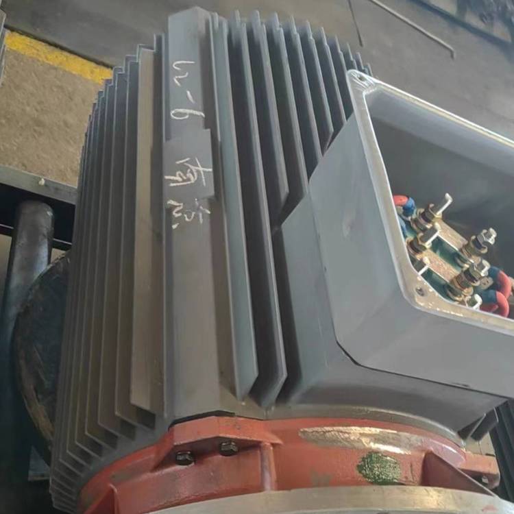 山東開元電機(jī)YBM2-315S-6電動(dòng)機(jī)