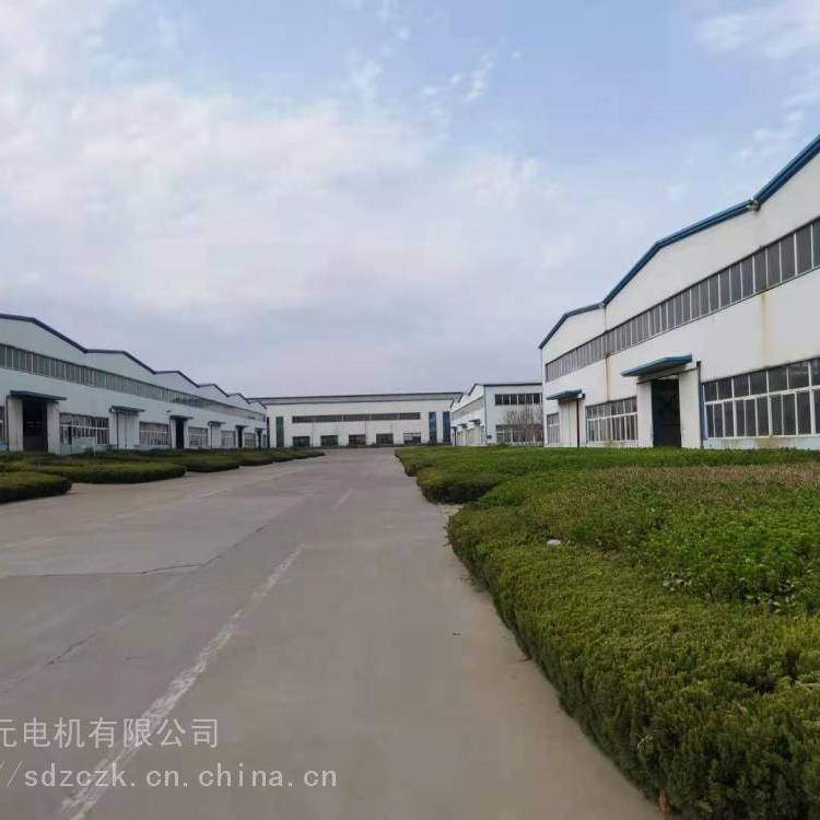 山東開(kāi)元電機(jī)有限三相異步電動(dòng)機(jī)