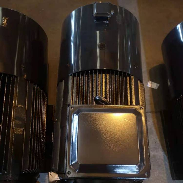 高壓電動(dòng)機(jī)山東開(kāi)元電機(jī)有限公公司產(chǎn)開(kāi)元電機(jī)YE3