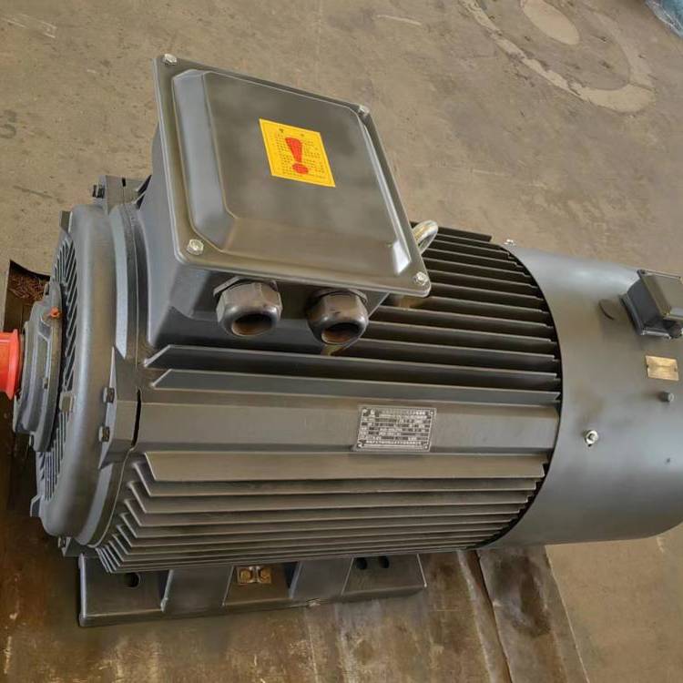 山東開元電機YE3-802-4三相異步電機