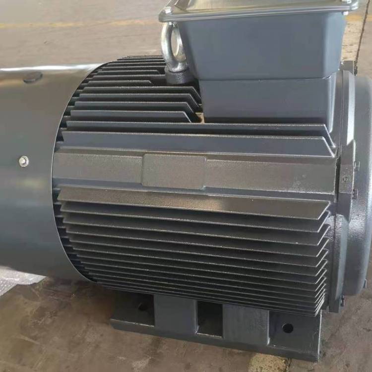 山東開元電機(jī)產(chǎn)密州牌三相異步電動(dòng)機(jī)YE3315S-2
