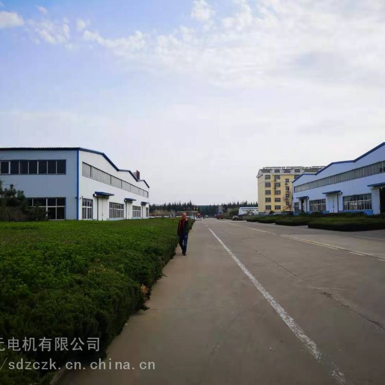 山東開元電機(jī)有限山東開元電機(jī)有限公司產(chǎn)YE3系列電動(dòng)機(jī)