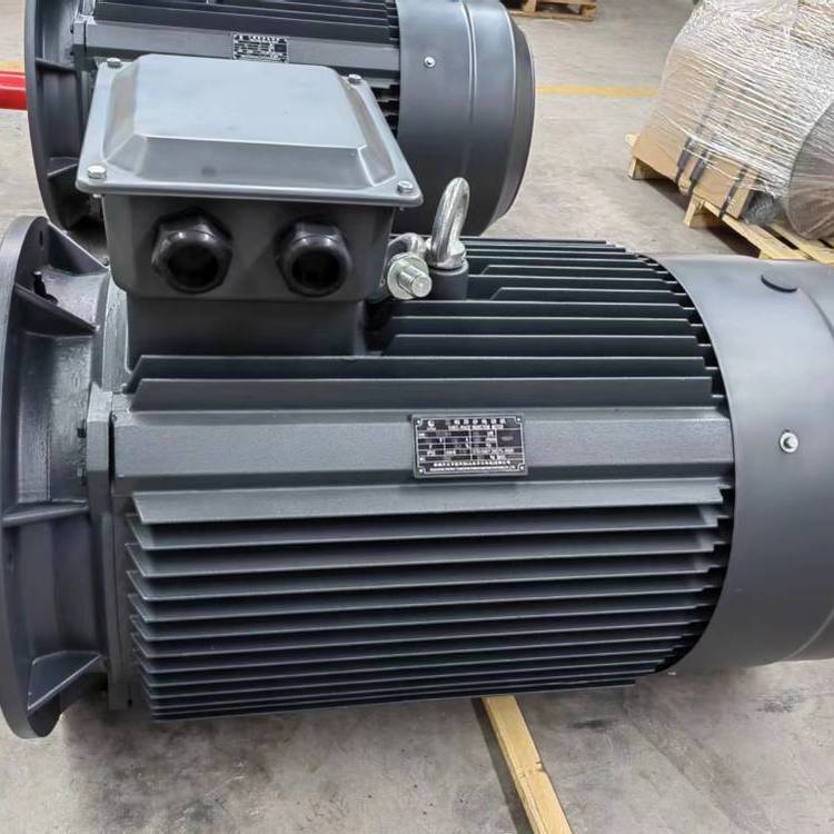 開元電機YE2、YE3等節(jié)能系列三相異步電動機產(chǎn)品