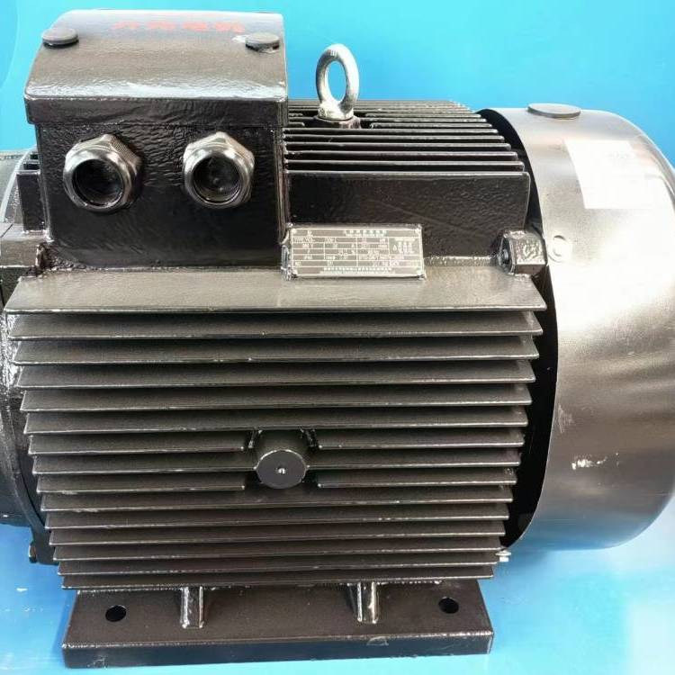開元電機(jī)Y355M2-6電動(dòng)機(jī)供應(yīng)YE\/YVF2\/YBM2等各系列電機(jī)