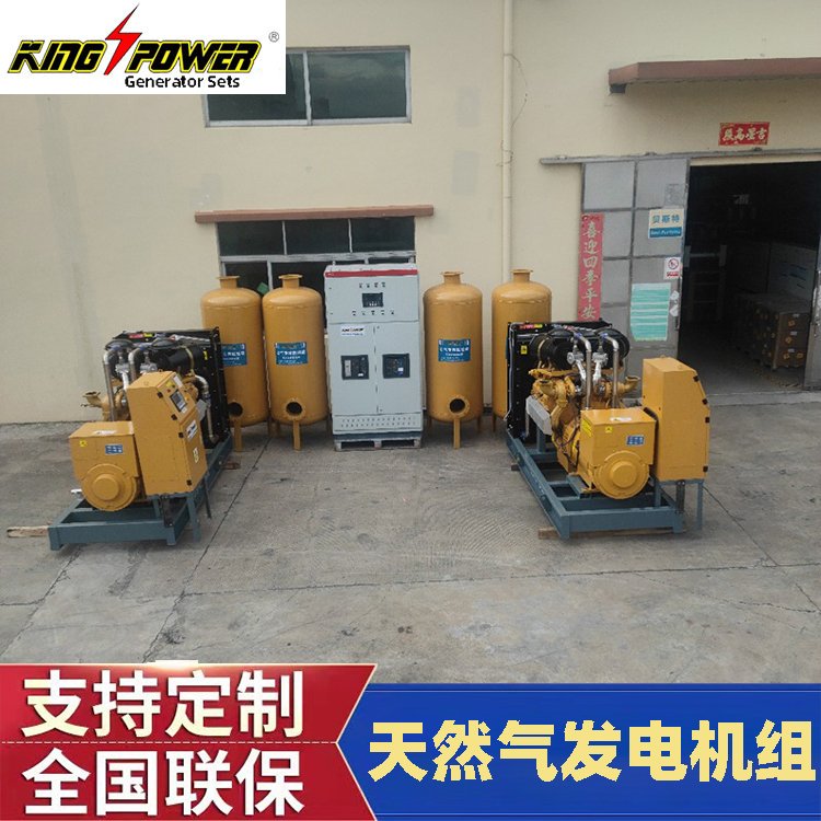 小型蒸汽濰柴燃?xì)馕⑿吞烊粴馍镔|(zhì)發(fā)電機(jī)租賃