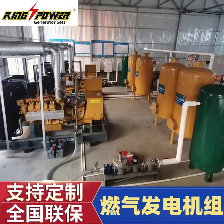 動力強(qiáng)大然氣發(fā)電機(jī)組養(yǎng)殖場垃圾場可用低溫也能啟動