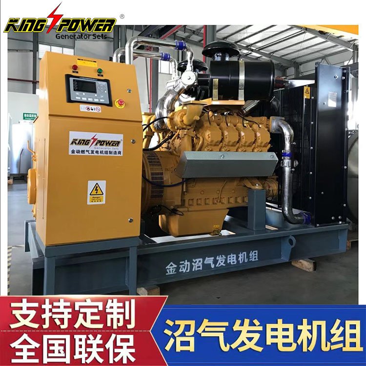 生物質(zhì)家用汽油內(nèi)燃天然氣蒸汽發(fā)電機(jī)組大型燃料金動科力