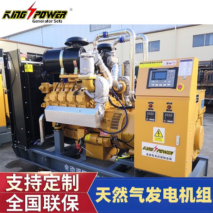 渦輪磁懸浮高速生物質(zhì)天然氣電機(jī)垃圾廠廢氣站