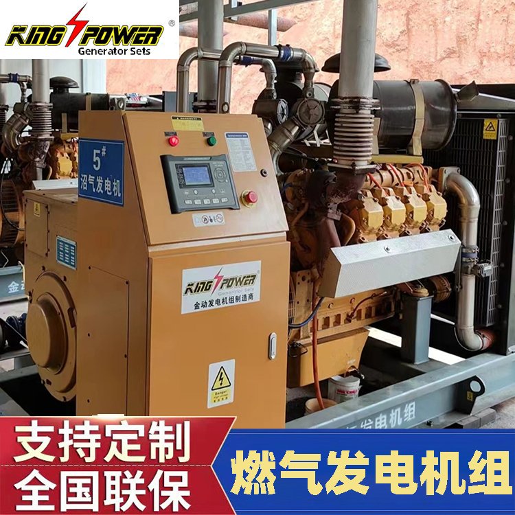 燃?xì)獍l(fā)電機組不間斷供電全新設(shè)備穩(wěn)定性高千瓦沼氣