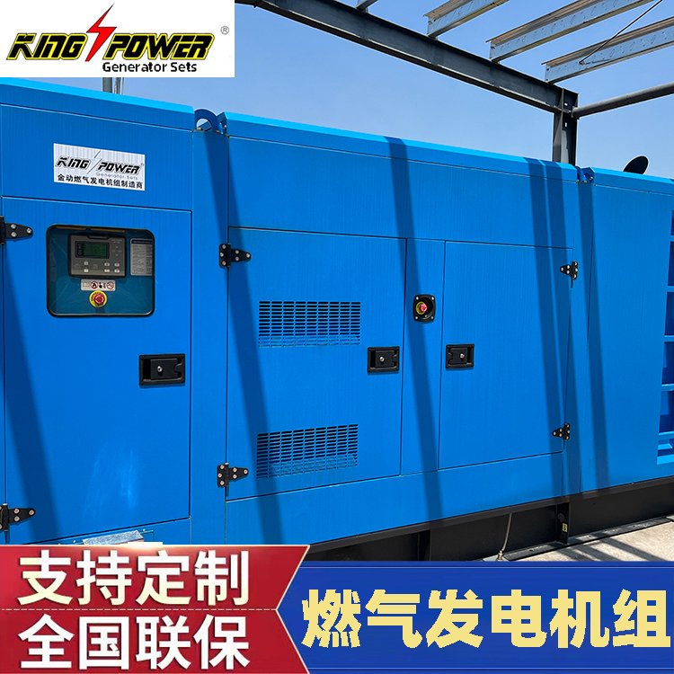 大功率然氣發(fā)電機組工廠應急設(shè)備運行穩(wěn)定支持定制