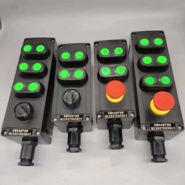 BZA8060-S-A6K1防爆防腐電動(dòng)葫蘆按鈕盒起重機(jī)\/行車手柄開關(guān)